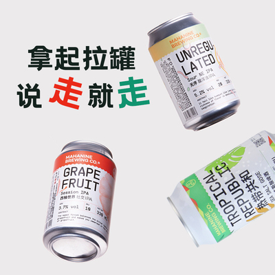 大九酿造 热卖混搭3罐装 国产精酿啤酒 古斯酸啤果啤鲜啤浑浊ipa