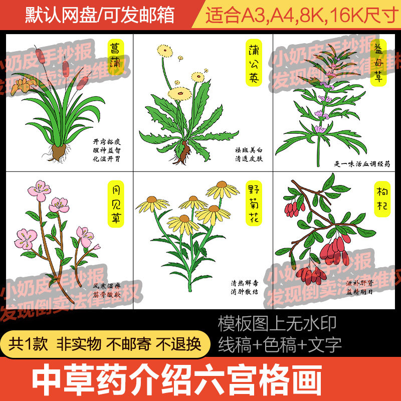 中国民间中草药介绍六宫格绘画漫画展示主题画小报手抄报黑白线稿
