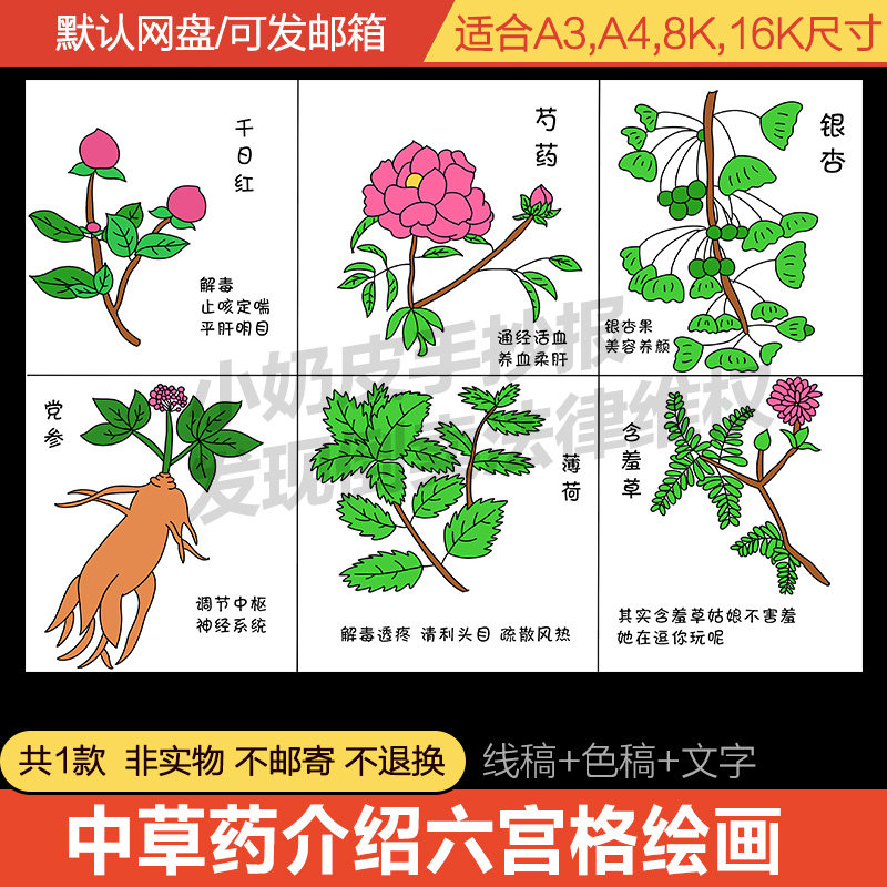 中国中草药介绍六宫格漫画绘画特点展示主题画小报手抄报线稿涂色