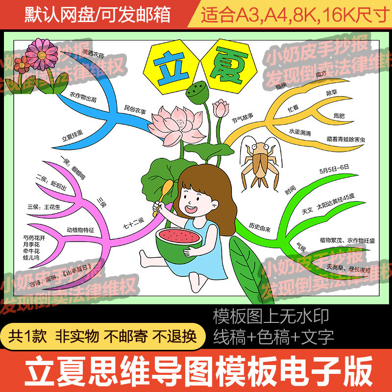 夏季24节气立夏思维导图模板简介介绍小报手抄报电子版黑线稿涂色