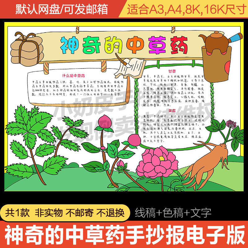 神奇的中草药手抄报电子版模板介绍小报半成品素材线稿轮廓图填色