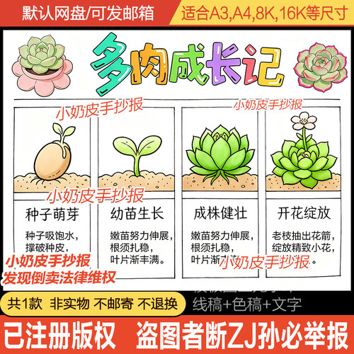 多肉生长记成长记手抄报多肉植物自然观察日记小报模板电子版黑线