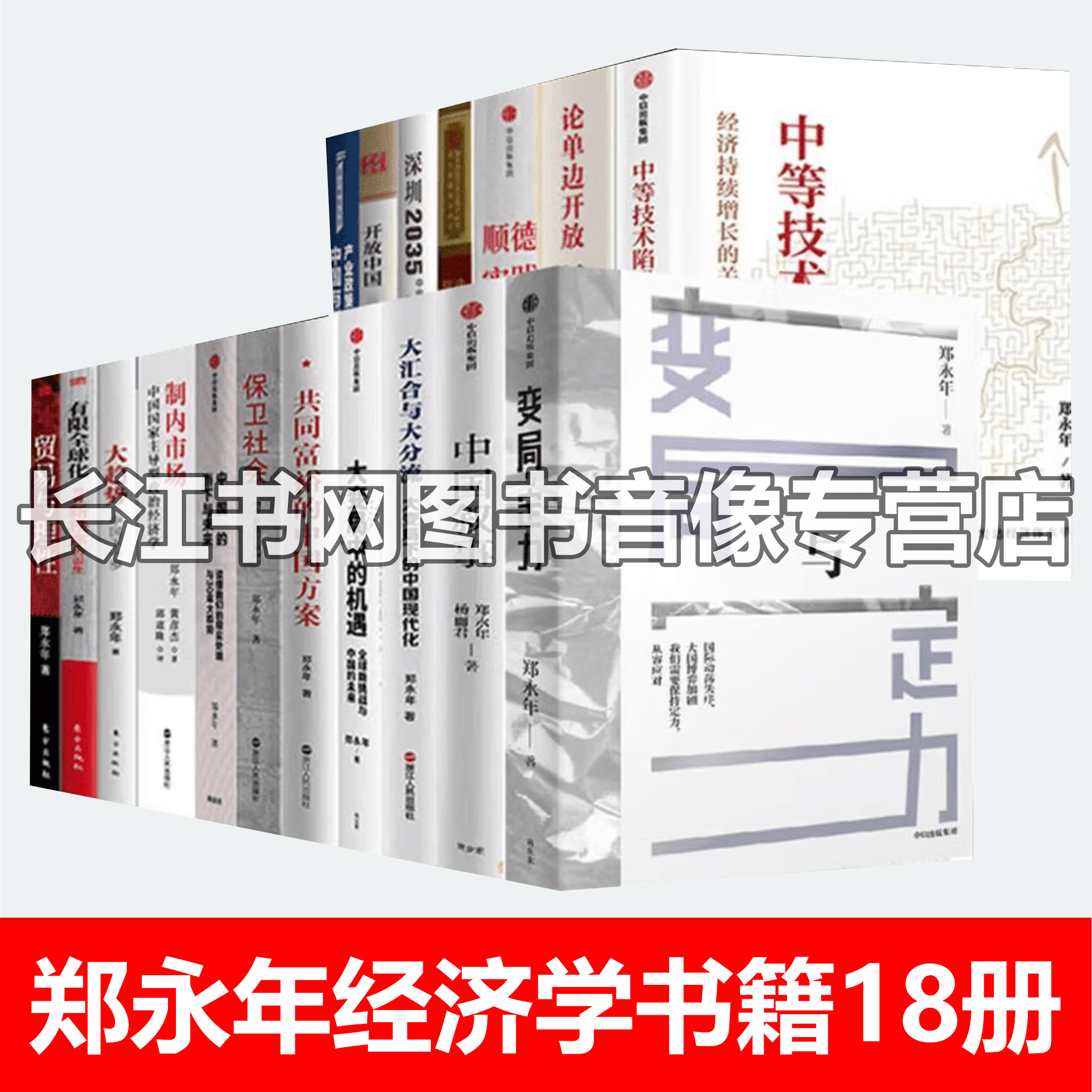 郑永年作品18册中国经济发展未来