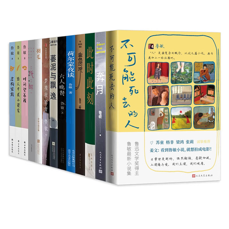 鲁敏作品13册不可能死去