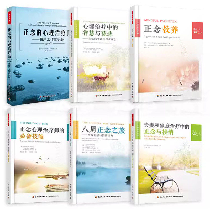 6册正念的心理师：临床工