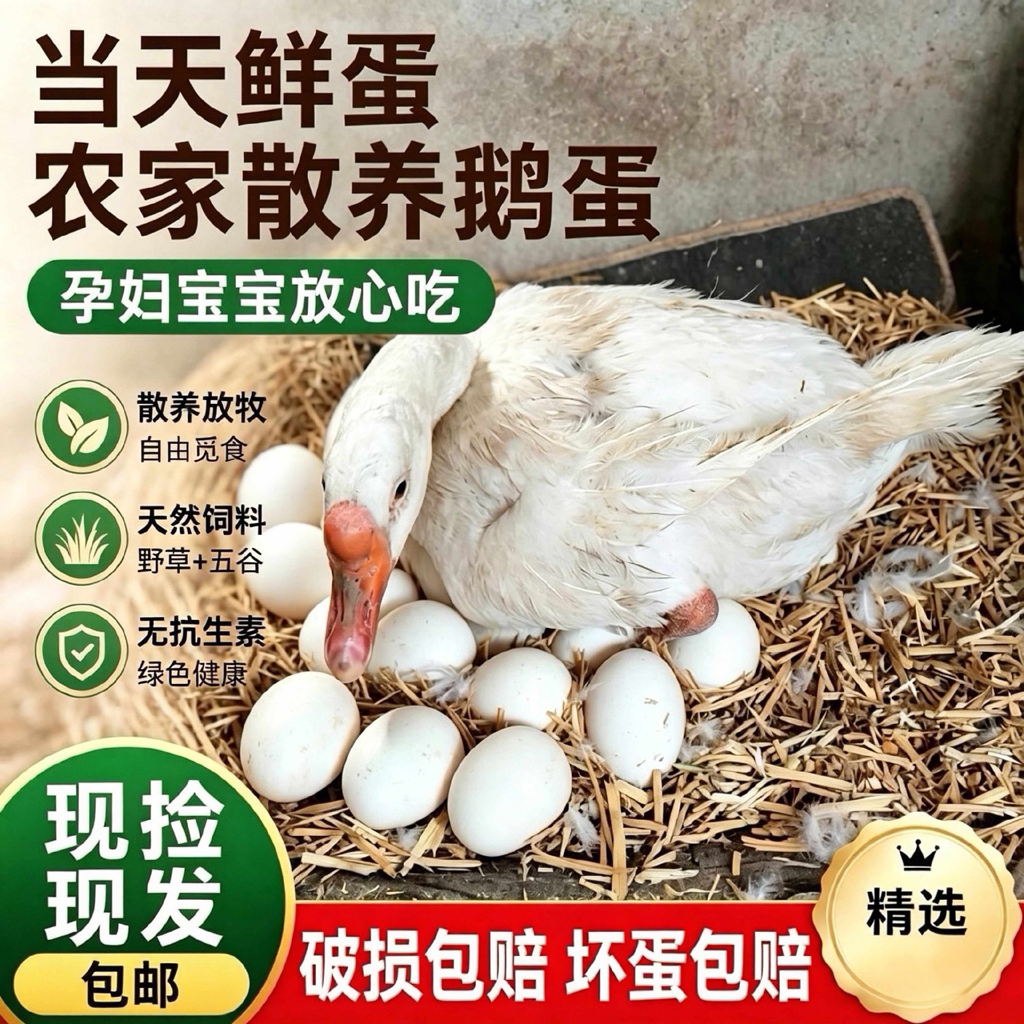 农家散养土鹅蛋现捡现发大鹅蛋