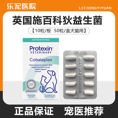 英国肠宝施百科狄Synbiotic