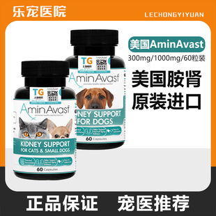 美国胺肾Aminavast狗肾脏降磷猫狗肾犬肾透活肾犬猫用护肾脏支持