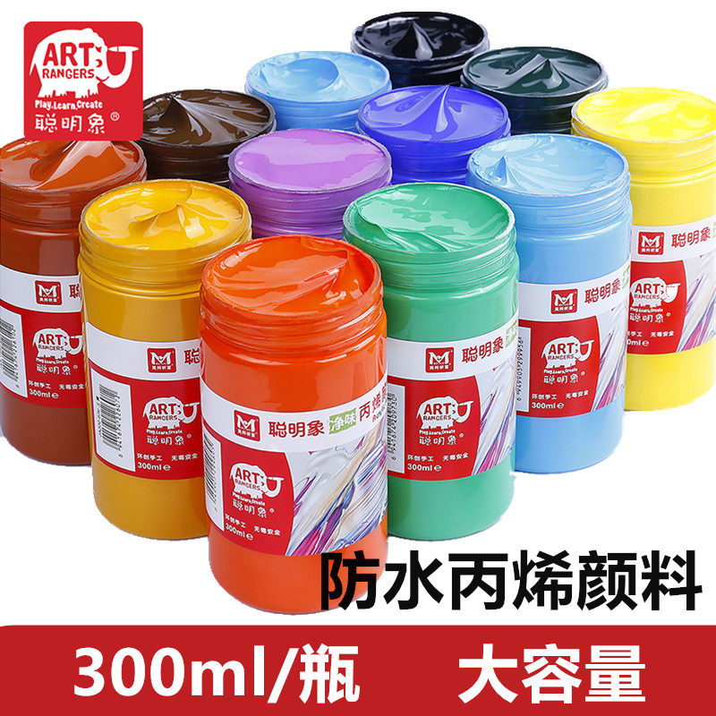 聪明象丙烯颜料300ml大瓶罐墙绘专用防水套装DIY手绘画鞋子白色