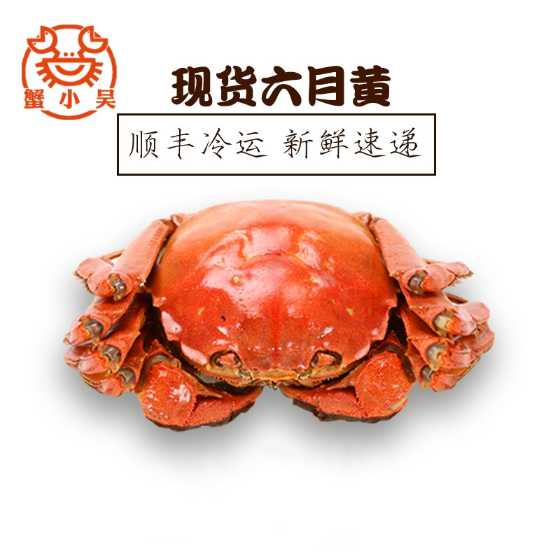 现货蟹小吴六月黄鲜活大闸蟹2.0两8只螃蟹小蟹农海鲜水产包邮在类目 水产肉类/新鲜蔬果/熟食, 海鲜/水产品/制品, 蟹类, 大闸蟹中 - 来自Buy2taobao.com提供专业的淘宝代购服务