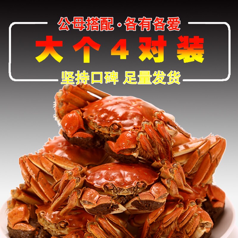 现货大闸蟹大公4.0两大母螃蟹3.0两各4只阳澄湖镇小蟹农礼盒鲜活在类目 水产肉类/新鲜蔬果/熟食, 海鲜/水产品/制品, 蟹类, 大闸蟹中 - 来自Buy2taobao.com提供专业的淘宝代购服务