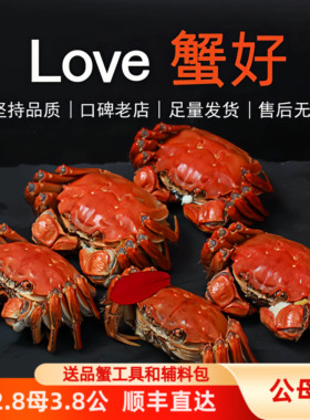 活蟹新鲜蟹小吴小蟹农大闸蟹大公3.8两大母2.8两鲜活螃蟹生鲜