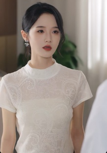 不候过期离婚苏晚同款新中式半高领透视短袖T恤女2026新款