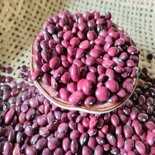 云南保山 高原大红豆红饭豆 红芸豆五谷杂粮豆沙料豆红豆软糯易煮