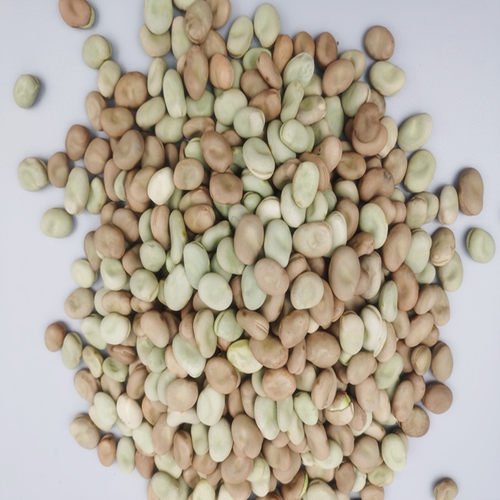 干蚕豆23年新货保山生蚕豆500G