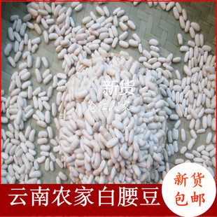 云南特产农家小白豆白芸豆白腰豆 煲汤料 五谷杂粮 3斤/5斤装包邮