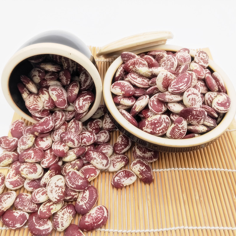 新货云南农家大荷包豆五谷杂粮
