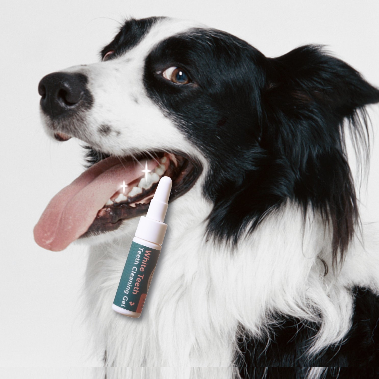 台湾medtobe宠物牙结石凝胶去除口臭猫狗清洁牙齿去除牙垢牙菌斑