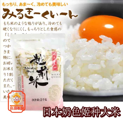 中国产越前奶色姬品种大米