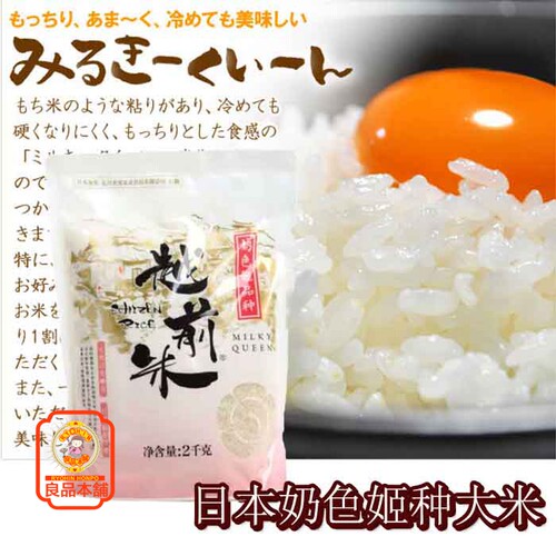 中国产越前奶色姬品种大米