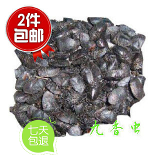 中药材 选装九香虫  九香虫100克特价蜣螂虫黑兜虫新货满包邮 - 实物图