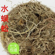 中药材水蜈蚣 水蜈蚣草 金钮草 寒气草 三荚草   三星草