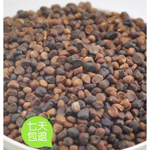 中药材 庵闾子 马兰子 马楝子 马莲子 马蔺子 庵闾子 新货满包邮