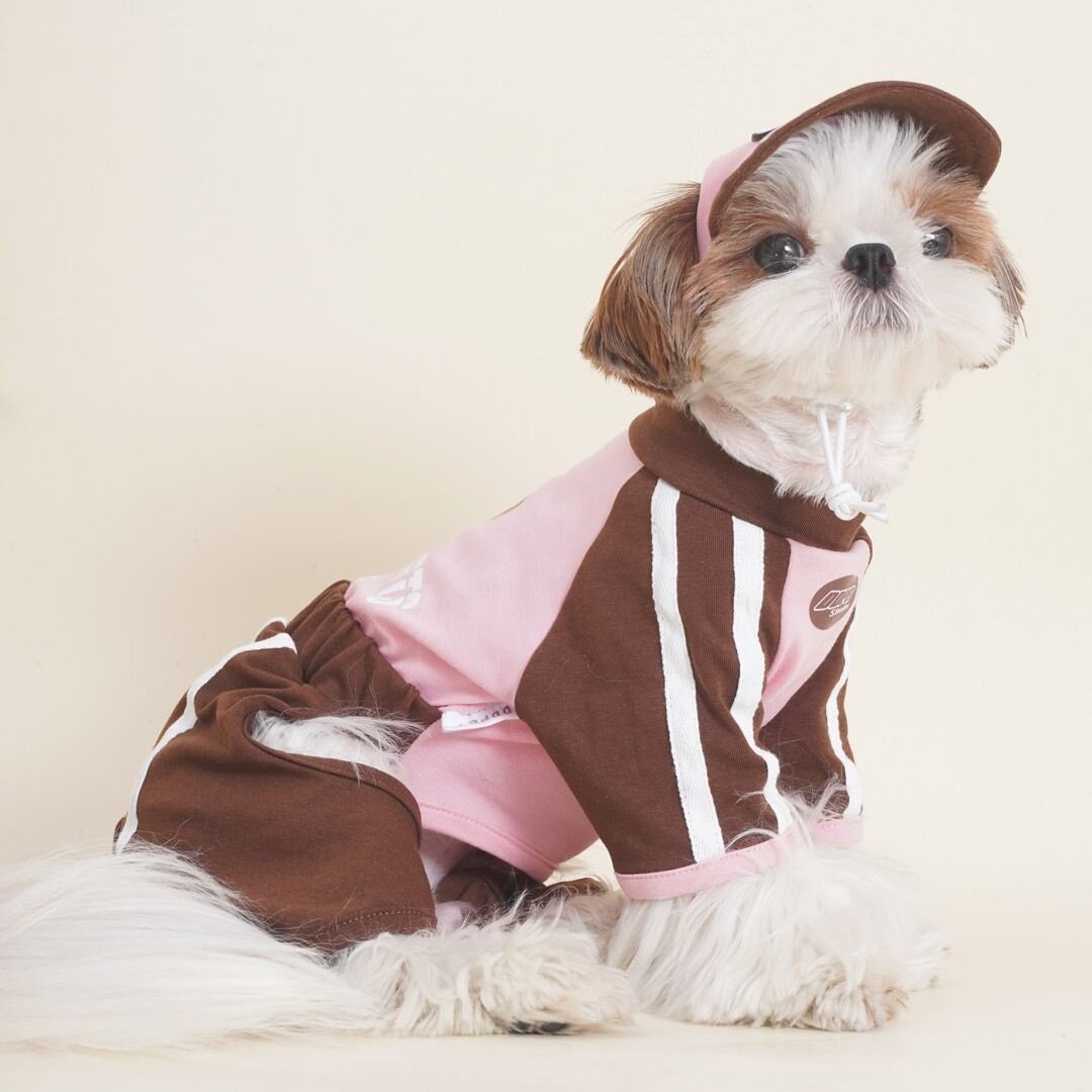 宠物狗狗秋季衣服潮流运动服图片