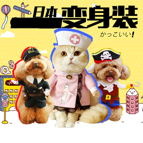 宠物变身装搞笑猫咪小护士皇上