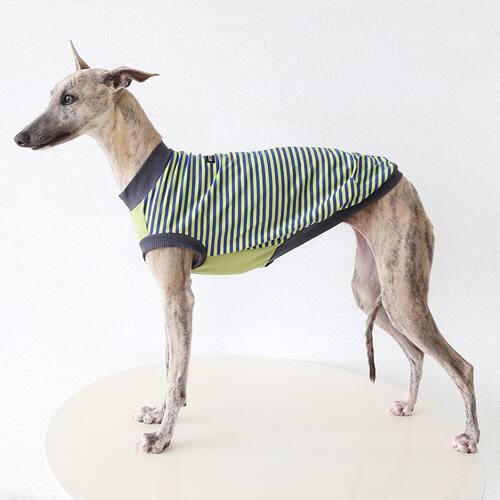 灵缇惠比特田园犬宠物狗狗春夏薄款衣服居家服背心全棉透气洋气