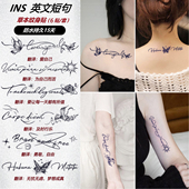 ZICHEN 高级感INS草本纹身贴英文短句拉丁防水持久蝴蝶纹身锁骨女