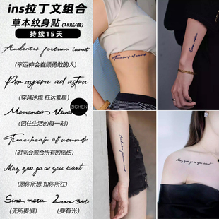 高级感锁骨手臂 草本纹身贴防水男女英文句个性 ZICHEN 拉丁文套装