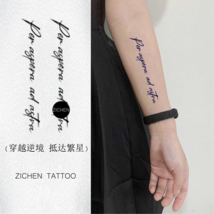 ZICHEN 抵达繁星拉丁文短语原创纹身贴防水持久男女手臂 穿越逆境