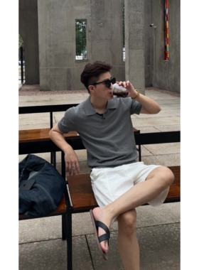 CHANWS老钱风polo衫男士镂空短袖t恤2025夏季轻薄高级感男款8001