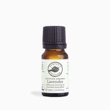 澳洲Perfect Potion优方薰衣草精油Lavender10ml助眠促进细胞再生