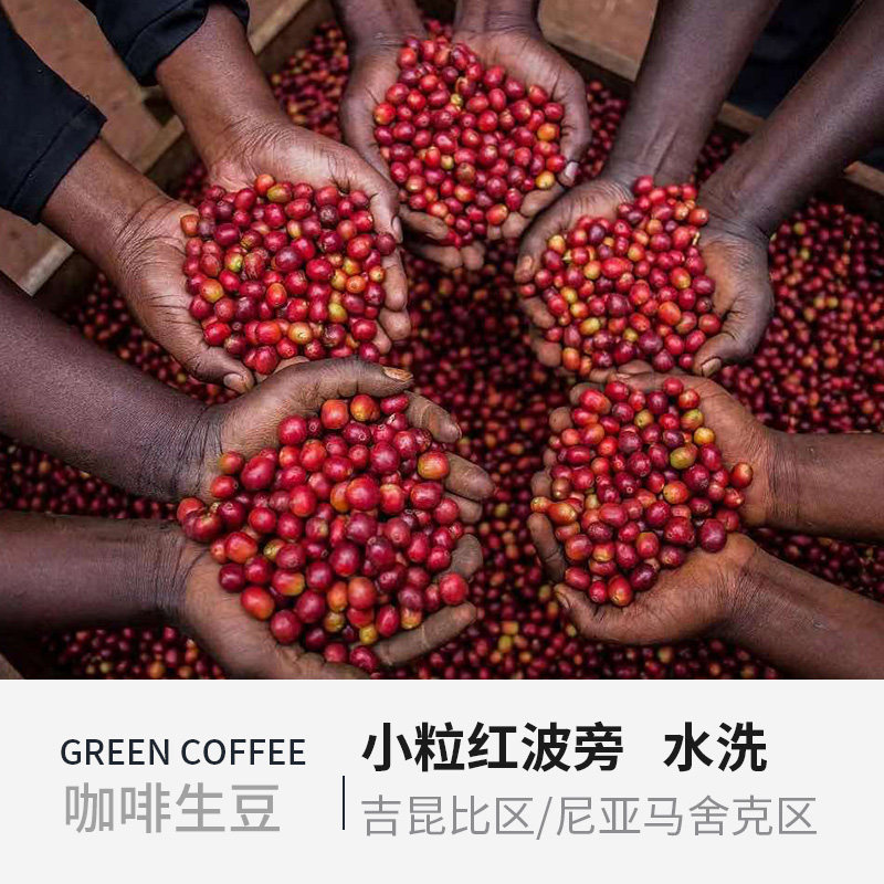 卢旺达红波旁水洗咖啡豆15目