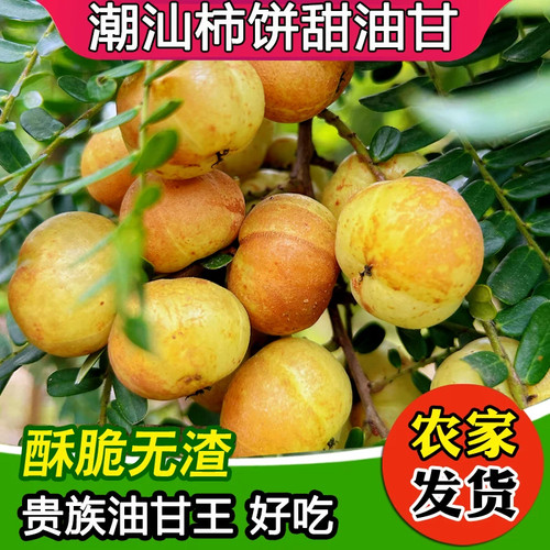 一种先酸涩后甘甜的天然水果