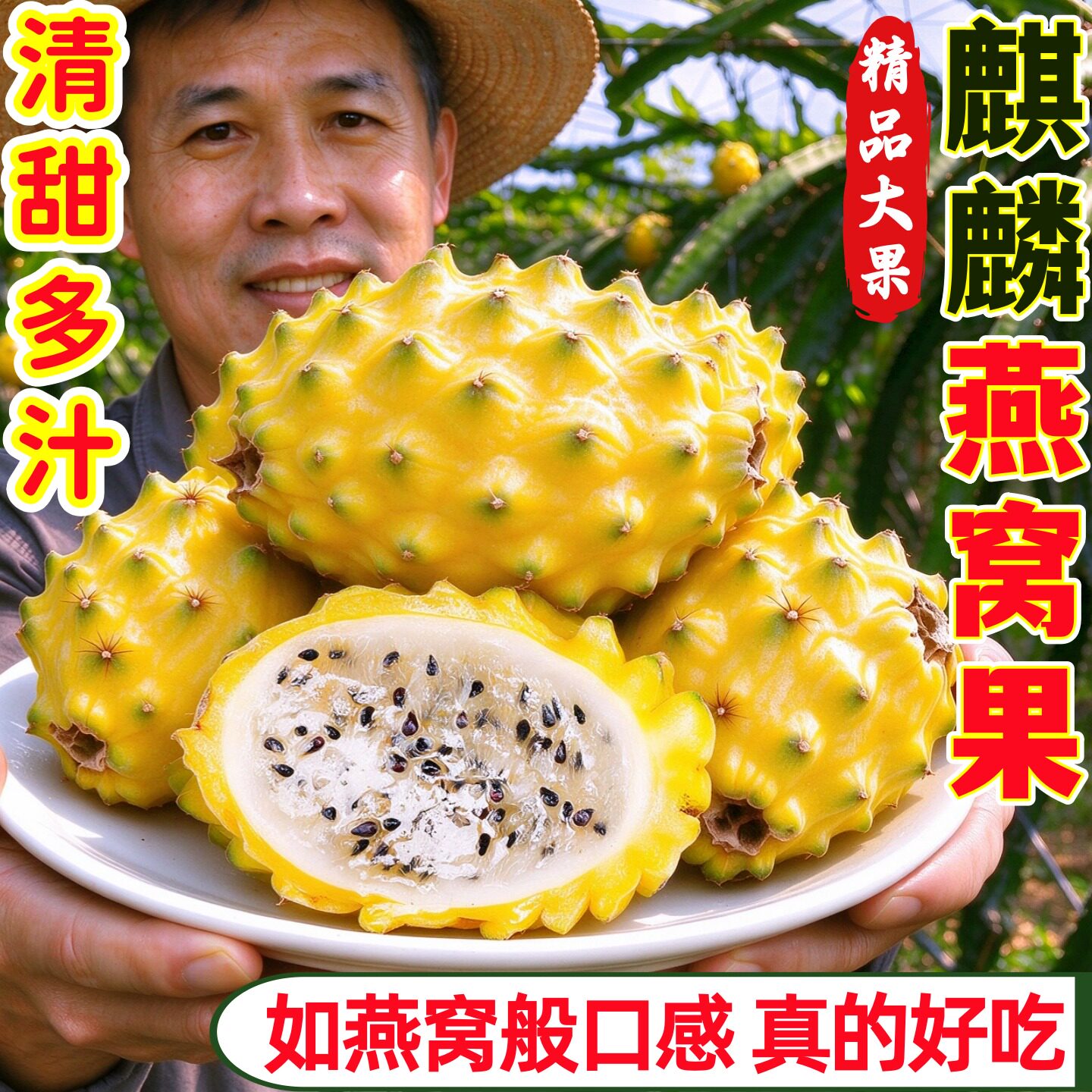 顺丰快递新鲜燕窝果麒麟果