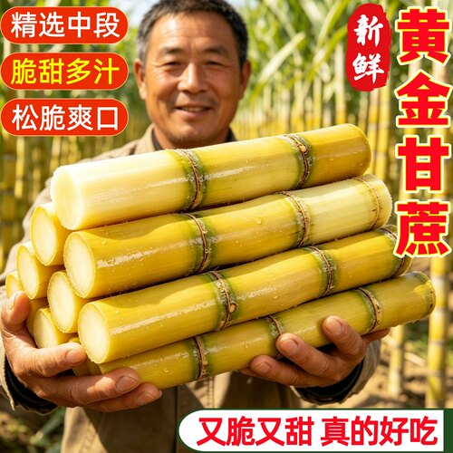 黄金甘蔗当季新鲜现砍脆甜多汁
