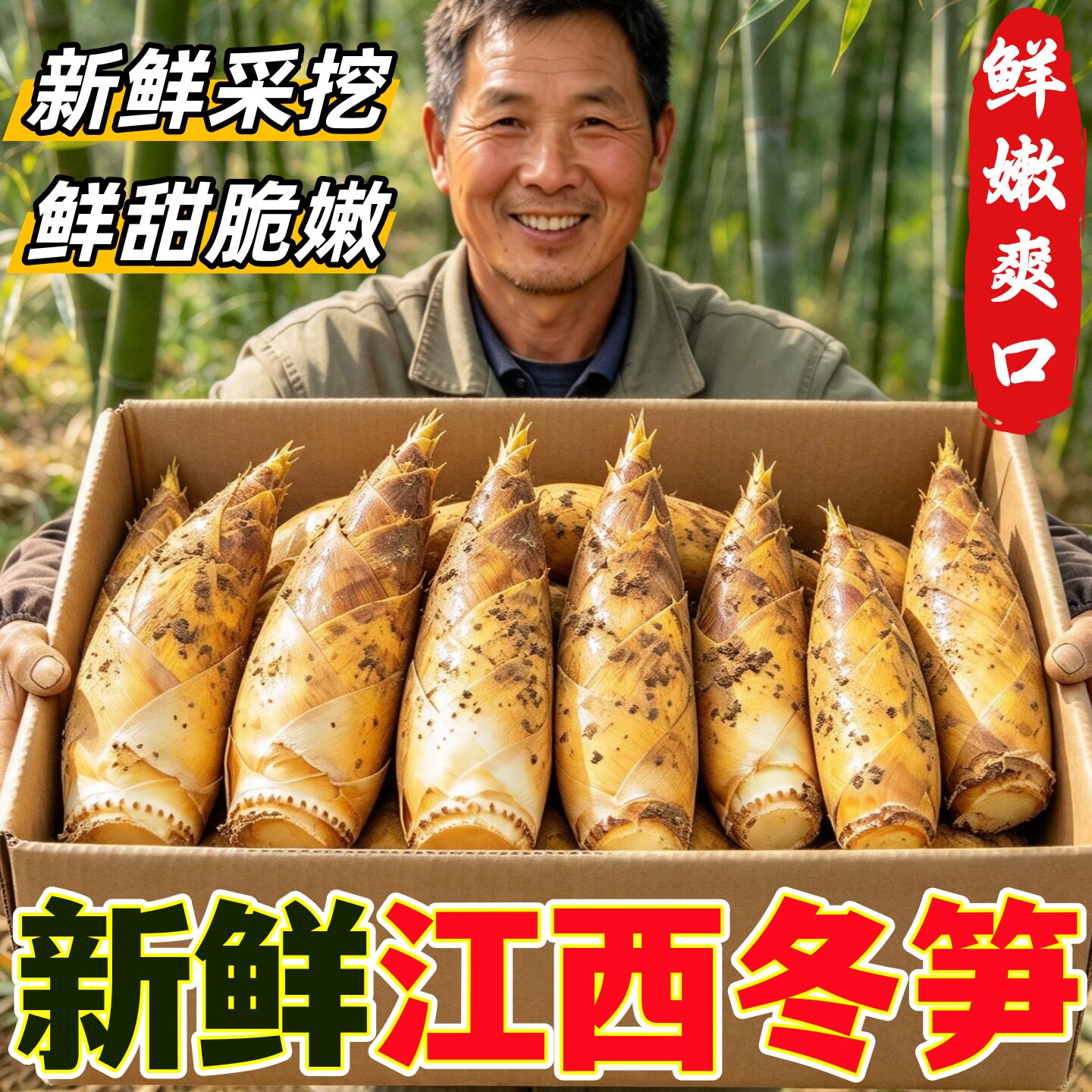 新鲜江西冬笋现挖鲜甜脆嫩爽口
