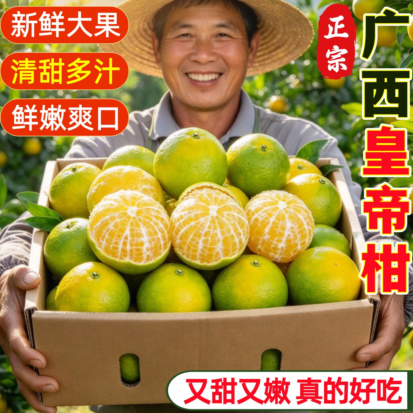 正宗广西皇帝柑当季现摘清甜多汁