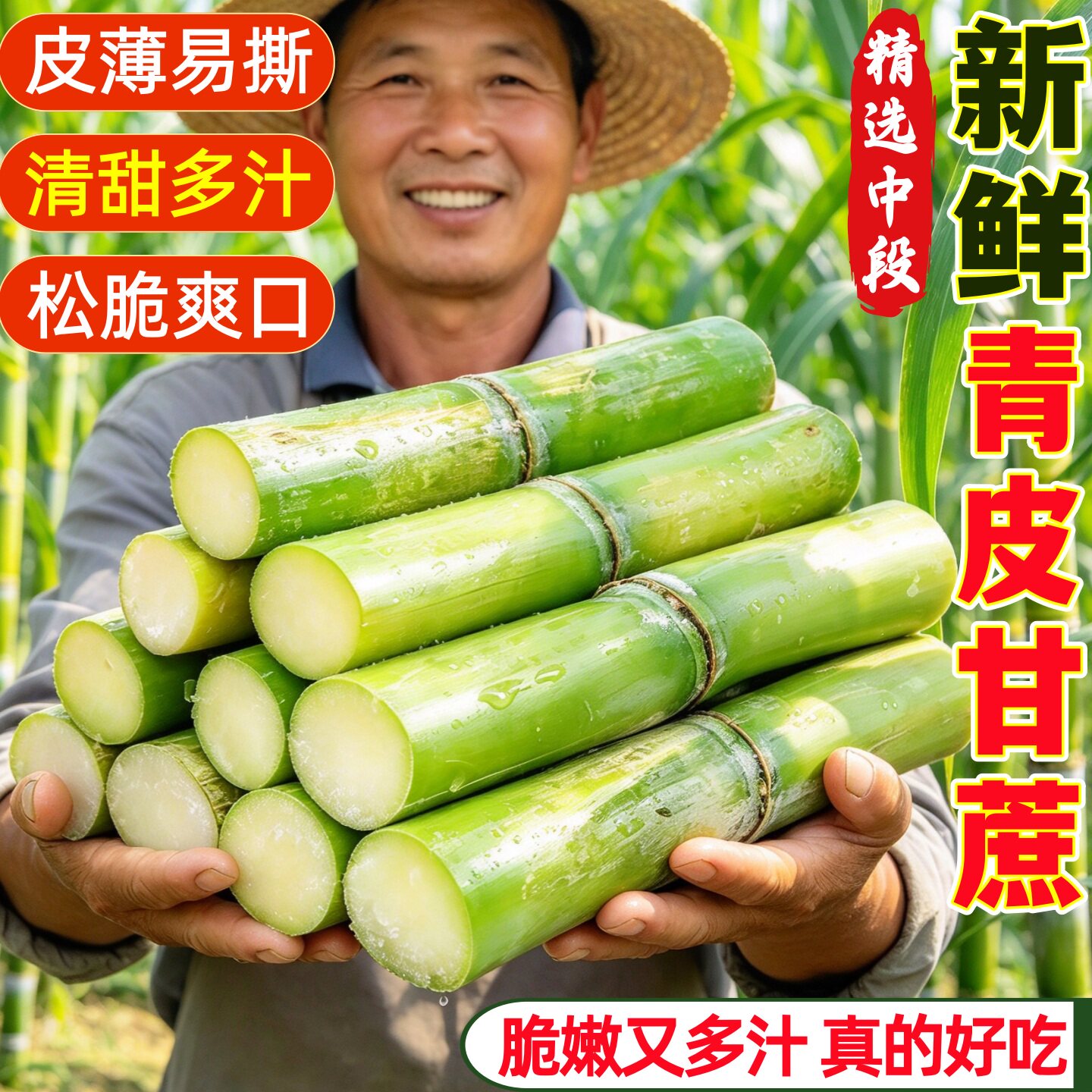 顺丰浙江青皮甘蔗温州特产