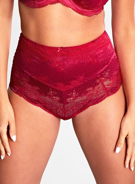 M3 欧美原单P*NACHE网纱蕾丝透明女士内裤大码性感高腰透气三角裤