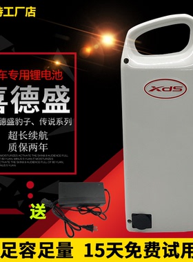 48V10AH喜德盛豹子2C3C4C5C6传说1S2S4S5S电动自行车锂电池电瓶