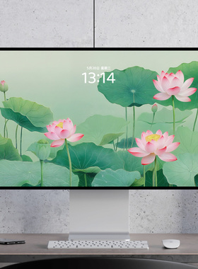 荷花 古风工笔画 中国风 治愈雅致 电脑mac手机ipad壁纸watch壁纸