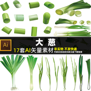 大葱AI矢量素材手绘小葱蔬菜香料海报葱叶葱梗头茎叶茎杆葱头图片