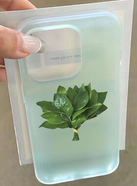 柚子叶适用于苹果17手机壳15新款iphone16个性13简约promax创意12/11防摔14pro全包软壳pm韩风 xrxsmax透明78