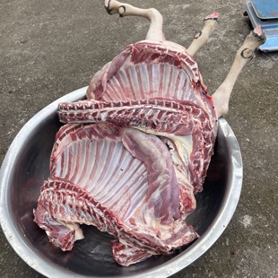 湖南湘西大山农家放养土山羊，黑山羊