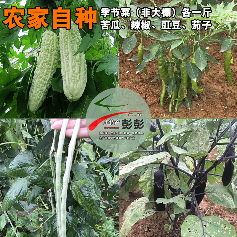 农家小菜新鲜时令蔬菜