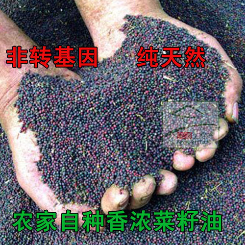 野生干货山竹笋湘西干货